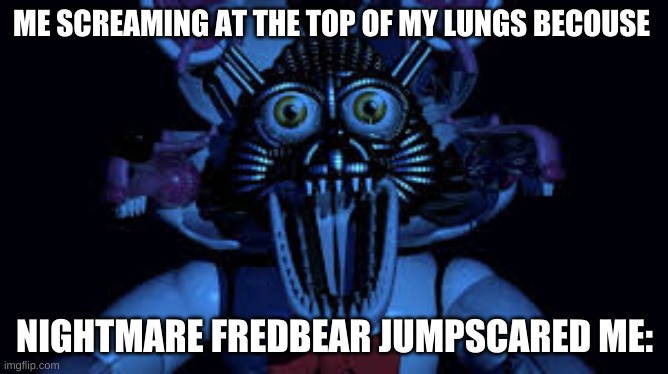 Funtime foxy jumpscare fnaf sister location | ME SCREAMING AT THE TOP OF MY LUNGS BECOUSE; NIGHTMARE FREDBEAR JUMPSCARED ME: | image tagged in funtime foxy jumpscare fnaf sister location | made w/ Imgflip meme maker