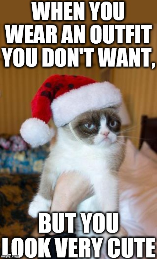 Grumpy Cat Christmas | WHEN YOU WEAR AN OUTFIT YOU DON'T WANT, BUT YOU
LOOK VERY CUTE | image tagged in memes,grumpy cat christmas,grumpy cat | made w/ Imgflip meme maker