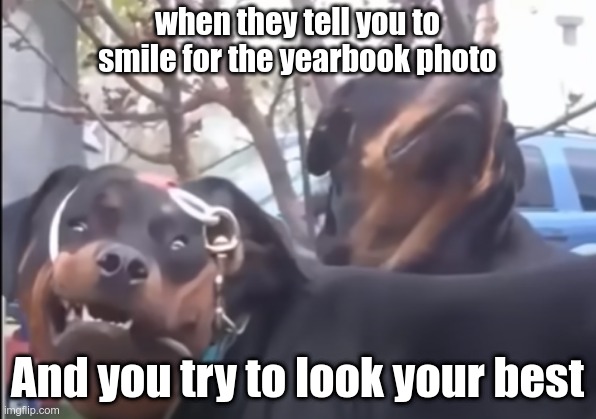 why is this true tho T-T | when they tell you to smile for the yearbook photo; And you try to look your best | image tagged in funny,dog,school | made w/ Imgflip meme maker