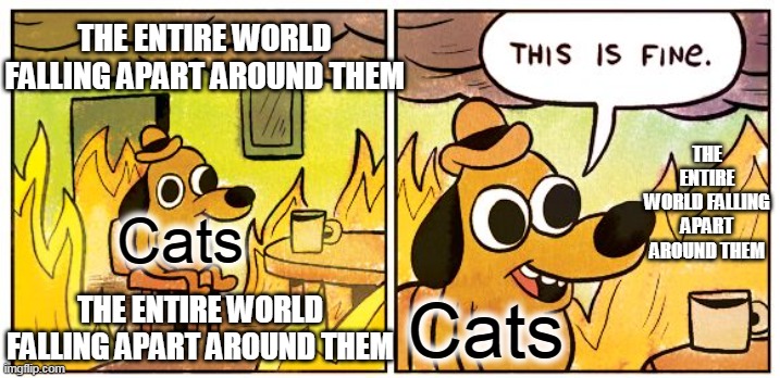 This Is Fine Meme | THE ENTIRE WORLD FALLING APART AROUND THEM; THE ENTIRE WORLD FALLING APART AROUND THEM; Cats; THE ENTIRE WORLD FALLING APART AROUND THEM; Cats | image tagged in memes,this is fine | made w/ Imgflip meme maker