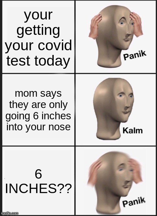 6 inches? | your getting your covid test today; mom says they are only going 6 inches into your nose; 6 INCHES?? | image tagged in memes,panik kalm panik | made w/ Imgflip meme maker