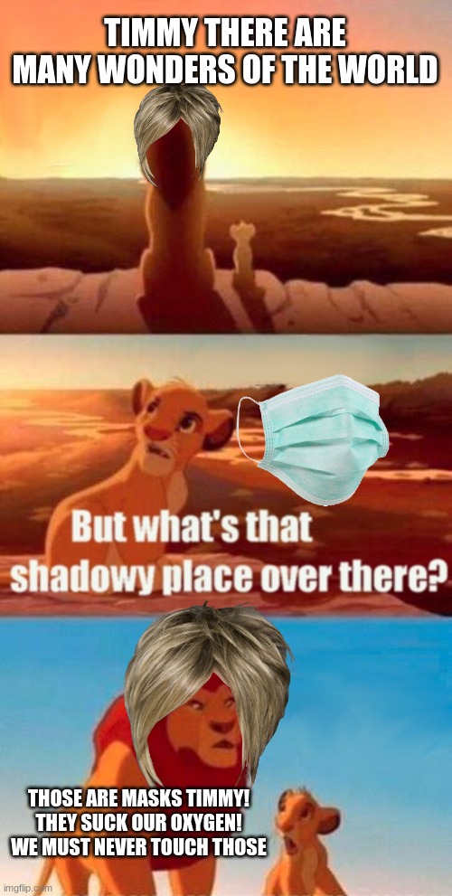 Karen's.....  they stupid | TIMMY THERE ARE MANY WONDERS OF THE WORLD; THOSE ARE MASKS TIMMY! THEY SUCK OUR OXYGEN! WE MUST NEVER TOUCH THOSE | image tagged in memes,simba shadowy place | made w/ Imgflip meme maker