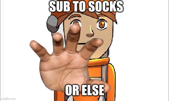 SUB TO SOCKS; OR ELSE | image tagged in socksfor1 | made w/ Imgflip meme maker