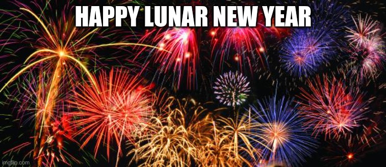 apparently, today is this new year of lunar | HAPPY LUNAR NEW YEAR | image tagged in colorful fireworks | made w/ Imgflip meme maker