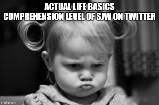 "Mummy why isn't the world all nice and stuffs?!" | ACTUAL LIFE BASICS COMPREHENSION LEVEL OF SJW ON TWITTER | image tagged in pouting toddler,twitter | made w/ Imgflip meme maker