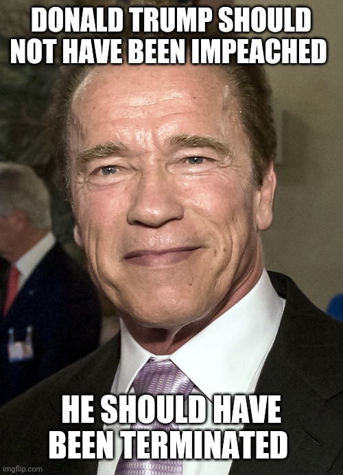 Old Arnie | DONALD TRUMP SHOULD NOT HAVE BEEN IMPEACHED; HE SHOULD HAVE BEEN TERMINATED | image tagged in old arnie | made w/ Imgflip meme maker