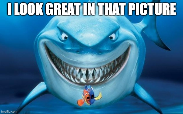 Hungry shark nemoÂ´s | I LOOK GREAT IN THAT PICTURE | image tagged in hungry shark nemo s | made w/ Imgflip meme maker