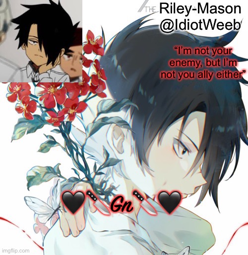 Ray temp | 🖤🔪Gn🔪🖤 | image tagged in ray temp | made w/ Imgflip meme maker