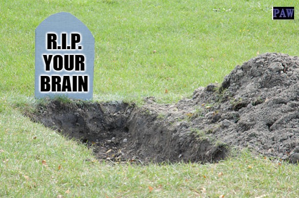 Your Brain | R.I.P. YOUR BRAIN | image tagged in brain,funny,dead | made w/ Imgflip meme maker