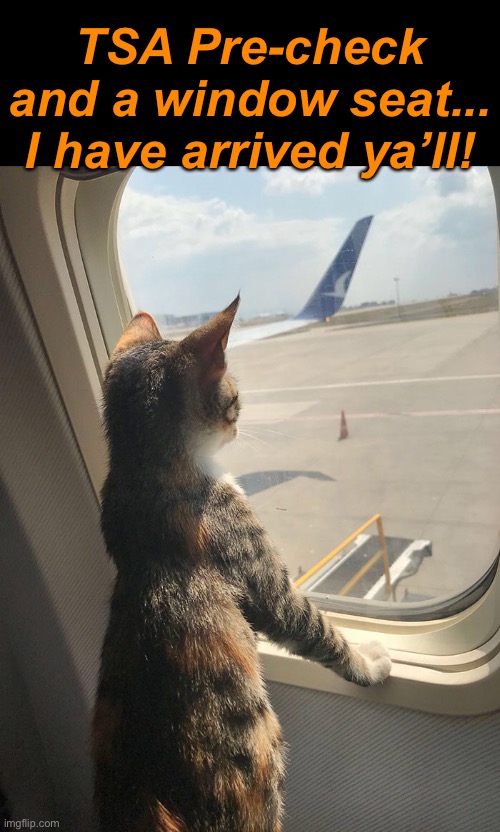 TSA Pre-check and a window seat...
I have arrived ya’ll! | made w/ Imgflip meme maker