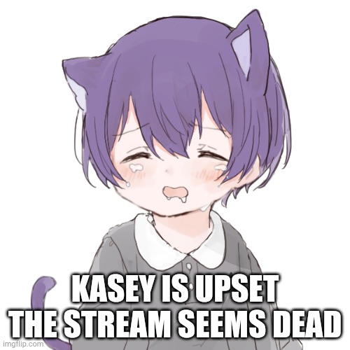 Crying kasey | KASEY IS UPSET THE STREAM SEEMS DEAD | image tagged in crying kasey | made w/ Imgflip meme maker