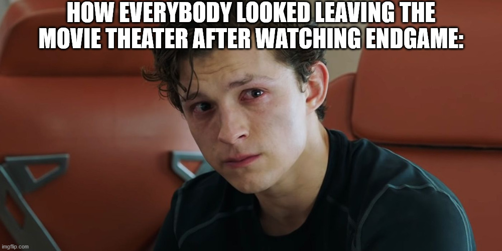 NOOOOO!!! TONYYYYYYYY!!!!! *sobs* | HOW EVERYBODY LOOKED LEAVING THE MOVIE THEATER AFTER WATCHING ENDGAME: | image tagged in peter parker | made w/ Imgflip meme maker