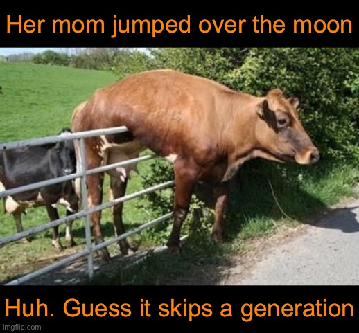 Hey Diddle Diddle | Her mom jumped over the moon; Huh. Guess it skips a generation | image tagged in funny memes,dad jokes | made w/ Imgflip meme maker