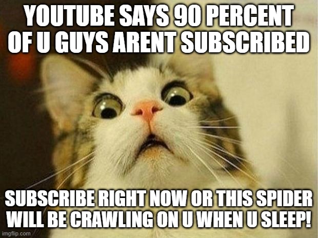 youtubers be like | YOUTUBE SAYS 90 PERCENT OF U GUYS ARENT SUBSCRIBED; SUBSCRIBE RIGHT NOW OR THIS SPIDER WILL BE CRAWLING ON U WHEN U SLEEP! | image tagged in memes,scared cat | made w/ Imgflip meme maker