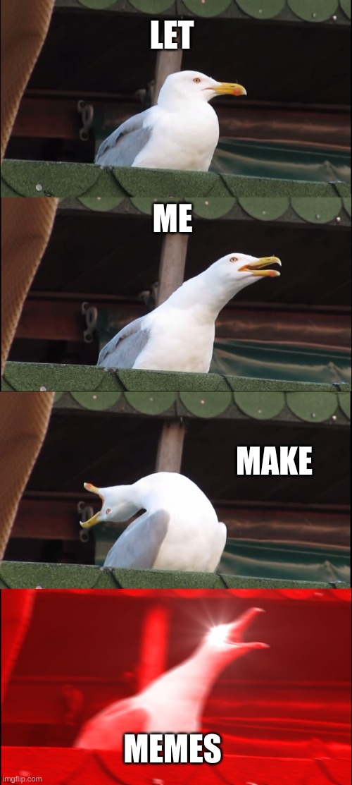 Inhaling Seagull Meme | LET; ME; MAKE; MEMES | image tagged in memes,inhaling seagull | made w/ Imgflip meme maker