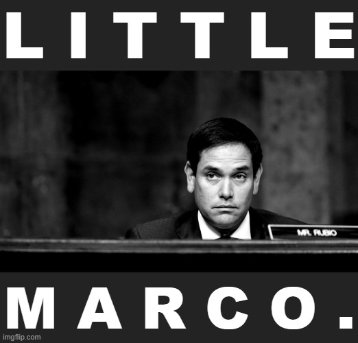 Oof. Read the article to see what I mean. | L I T T L E; M A R C O . | image tagged in little marco rubio,marco rubio,trump impeachment,impeachment,impeach trump,impeach | made w/ Imgflip meme maker