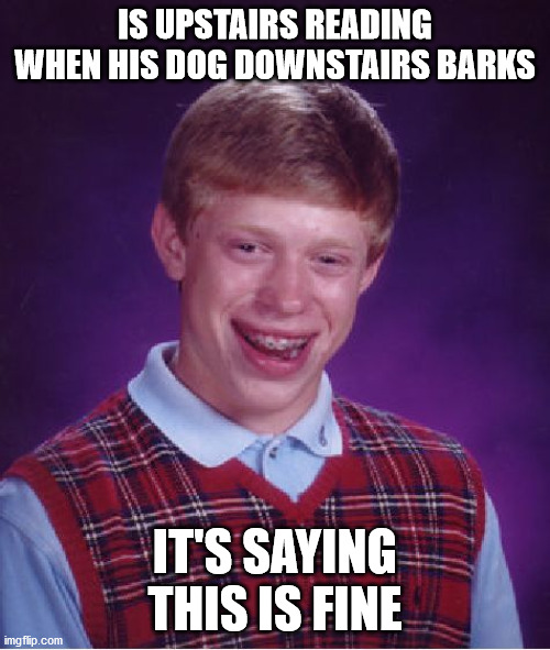 *sniff sniff* uh oh O.o | IS UPSTAIRS READING WHEN HIS DOG DOWNSTAIRS BARKS; IT'S SAYING THIS IS FINE | image tagged in memes,bad luck brian,this is fine,crossover,dog,book | made w/ Imgflip meme maker