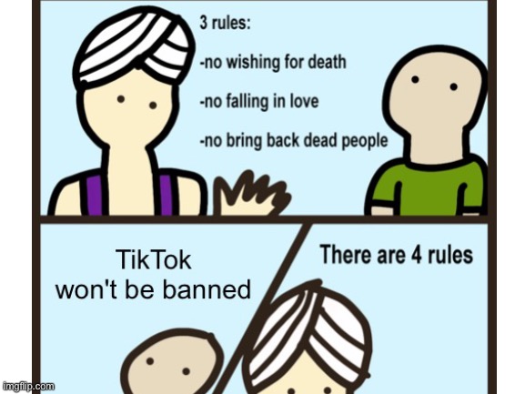 Tiktok... | image tagged in tiktok,tiktok sucks,genie rules meme | made w/ Imgflip meme maker