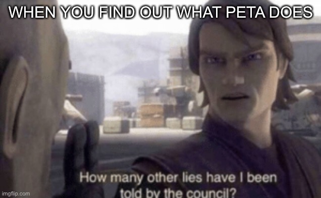 Peta hate | WHEN YOU FIND OUT WHAT PETA DOES | image tagged in how many other lies have i been told by the council,peta | made w/ Imgflip meme maker