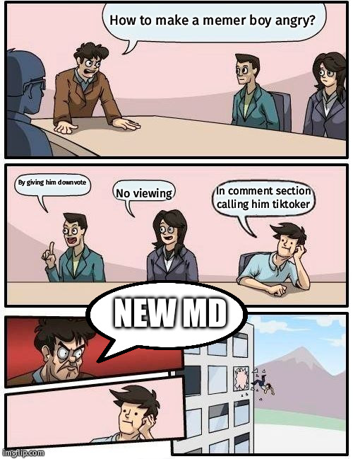 Great idea | How to make a memer boy angry? By giving him downvote; No viewing; In comment section calling him tiktoker; NEW MD | image tagged in memes,boardroom meeting suggestion | made w/ Imgflip meme maker