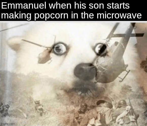 PTSD dog | Emmanuel when his son starts making popcorn in the microwave | image tagged in ptsd dog,run,memes | made w/ Imgflip meme maker