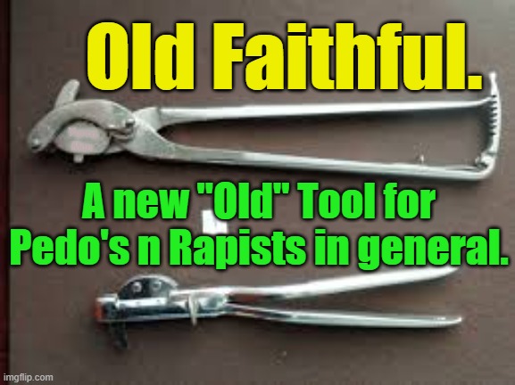 Rapist n Pedo Tool | Old Faithful. Yarra Man; A new "Old" Tool for Pedo's n Rapists in general. | image tagged in old faithful rapist / pedo tool | made w/ Imgflip meme maker