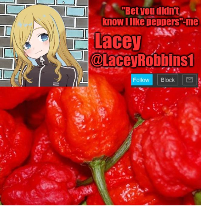 Lacey announcement template no.ilostcount Blank Meme Template