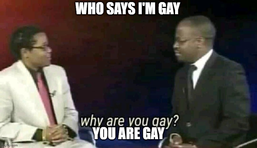 Why are you gay? | WHO SAYS I'M GAY; YOU ARE GAY | image tagged in why are you gay | made w/ Imgflip meme maker