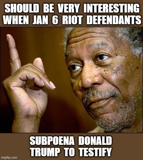 HERE'S an Interesting Thought ... | SHOULD  BE  VERY  INTERESTING
WHEN  JAN  6  RIOT  DEFENDANTS; SUBPOENA  DONALD
TRUMP  TO  TESTIFY | image tagged in donald trump,jan 6 riot,capitol hill,rick75230,trump impeachment,criminals | made w/ Imgflip meme maker