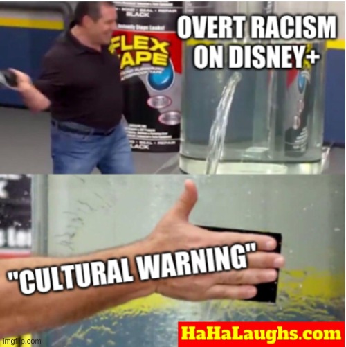 Disney Hypocrisy | image tagged in disney,disney plus | made w/ Imgflip meme maker