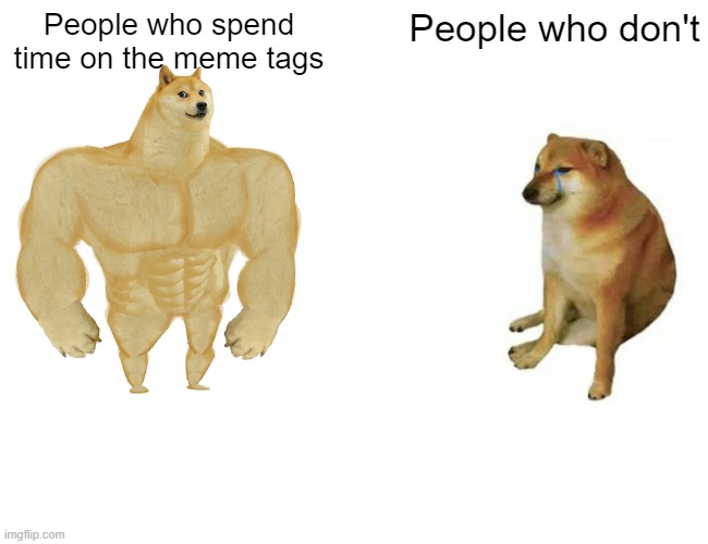 Buff Doge vs. Cheems Meme | People who spend time on the meme tags; People who don't | image tagged in memes,buff doge vs cheems,meme tags | made w/ Imgflip meme maker