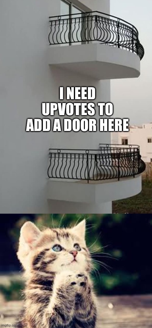 I NEED UPVOTES TO ADD A DOOR HERE | image tagged in plz cat | made w/ Imgflip meme maker