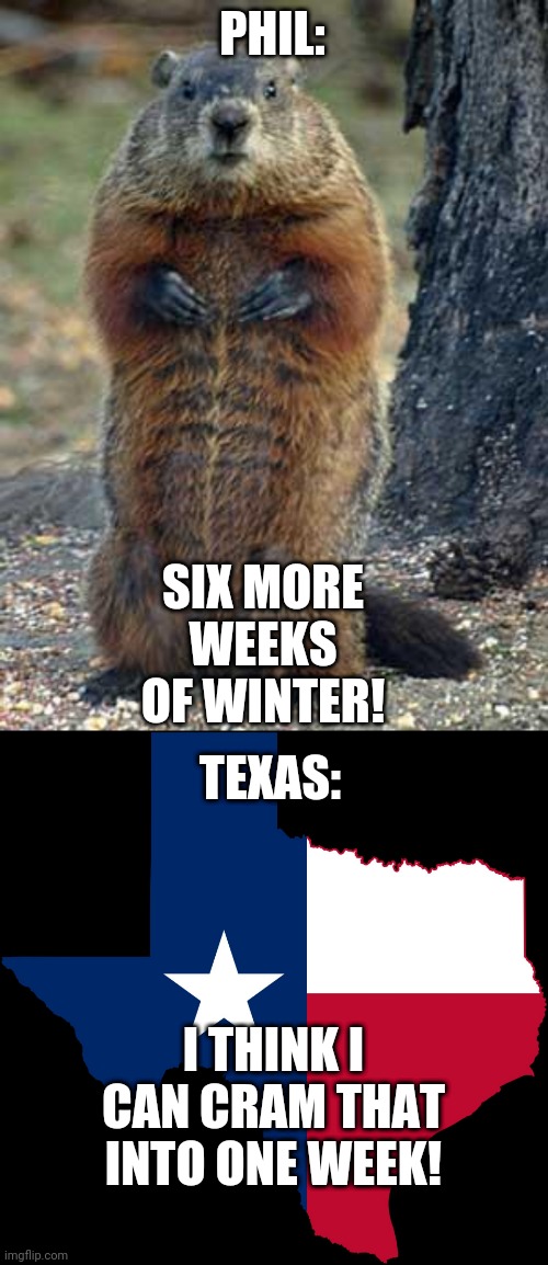 Texas Winter | PHIL:; SIX MORE WEEKS OF WINTER! TEXAS:; I THINK I CAN CRAM THAT INTO ONE WEEK! | image tagged in groundhog,texas map | made w/ Imgflip meme maker