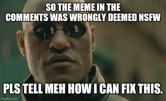 Matrix Morpheus | SO THE MEME IN THE COMMENTS WAS WRONGLY DEEMED NSFW; PLS TELL MEH HOW I CAN FIX THIS. | image tagged in memes,matrix morpheus | made w/ Imgflip meme maker
