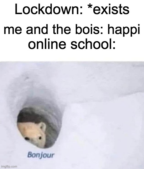 does anyone else hate this? | Lockdown: *exists; me and the bois: happi; online school: | image tagged in bonjour | made w/ Imgflip meme maker
