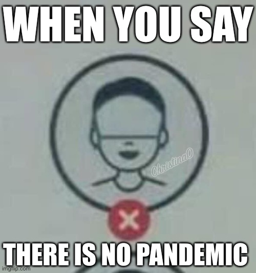 ‘There’s no pandemic’ Meme | WHEN YOU SAY; THERE IS NO PANDEMIC | image tagged in pandemic,coronavirus,face mask,covid19,memes,coronavirus meme | made w/ Imgflip meme maker