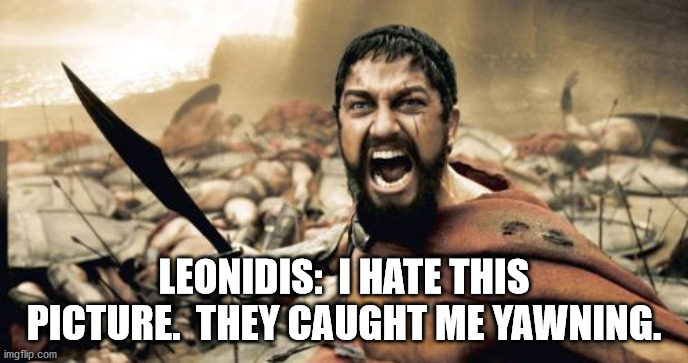 You'd yawn too if you had been killing people all-day-long.  It's just so tiring. | LEONIDIS:  I HATE THIS PICTURE.  THEY CAUGHT ME YAWNING. | image tagged in memes,sparta leonidas,yawning | made w/ Imgflip meme maker