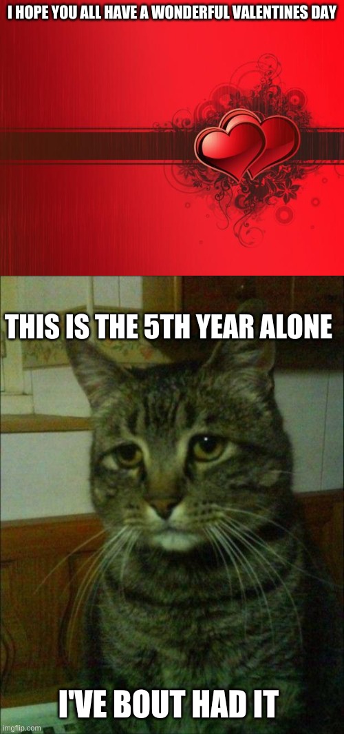 i call this holliday national depression day | I HOPE YOU ALL HAVE A WONDERFUL VALENTINES DAY; THIS IS THE 5TH YEAR ALONE; I'VE BOUT HAD IT | image tagged in valentines day,memes,depressed cat | made w/ Imgflip meme maker