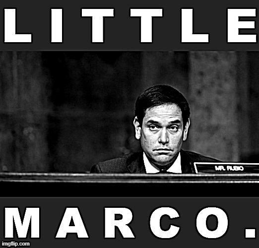 Little Marco comes full circle. | image tagged in little marco rubio | made w/ Imgflip meme maker