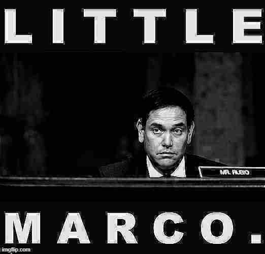 Little Marco comes full circle. | image tagged in marco rubio,republicans,trump impeachment,impeach trump,impeachment,impeach | made w/ Imgflip meme maker