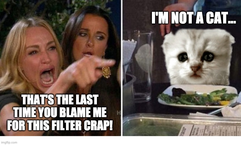 notacat | I'M NOT A CAT... THAT'S THE LAST TIME YOU BLAME ME FOR THIS FILTER CRAP! | image tagged in funny | made w/ Imgflip meme maker