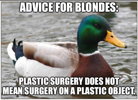 Blonde joke about plastic surgery | ADVICE FOR BLONDES:; PLASTIC SURGERY DOES NOT MEAN SURGERY ON A PLASTIC OBJECT. | image tagged in memes,actual advice mallard,dumb blonde,plastic surgery,stupid,bad joke | made w/ Imgflip meme maker