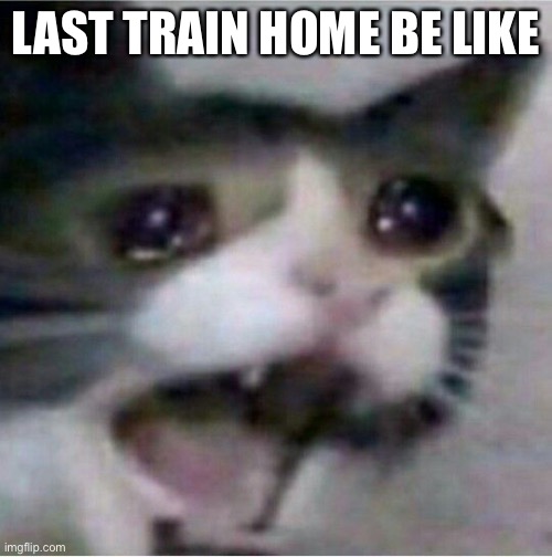Sadboi | LAST TRAIN HOME BE LIKE | image tagged in cat is sad | made w/ Imgflip meme maker