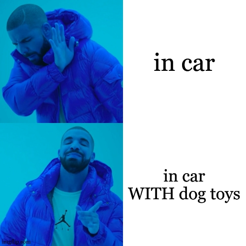 Drake Hotline Bling Meme | in car in car WITH dog toys | image tagged in memes,drake hotline bling | made w/ Imgflip meme maker