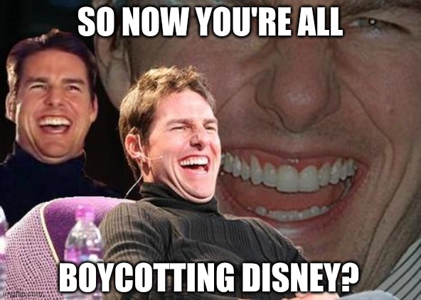 Tom Cruise laugh | SO NOW YOU'RE ALL BOYCOTTING DISNEY? | image tagged in tom cruise laugh | made w/ Imgflip meme maker