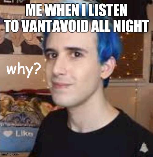 ive been with this band since the very start- | ME WHEN I LISTEN TO VANTAVOID ALL NIGHT | image tagged in why | made w/ Imgflip meme maker