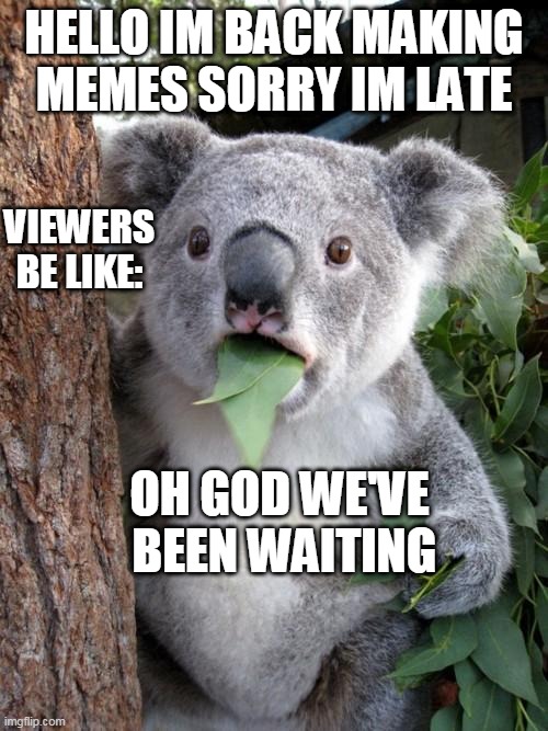 sorry my granny was using my laptop | HELLO IM BACK MAKING MEMES SORRY IM LATE; VIEWERS BE LIKE:; OH GOD WE'VE  BEEN WAITING | image tagged in memes,surprised koala | made w/ Imgflip meme maker