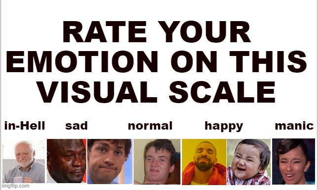 Rate Your Emotion On This Visual Scale | RATE YOUR EMOTION ON THIS
VISUAL SCALE; in-Hell     sad          normal        happy        manic | image tagged in white background | made w/ Imgflip meme maker