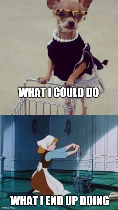 Free Saturday morning | WHAT I COULD DO; WHAT I END UP DOING | image tagged in shopping,cinderella cleaning | made w/ Imgflip meme maker