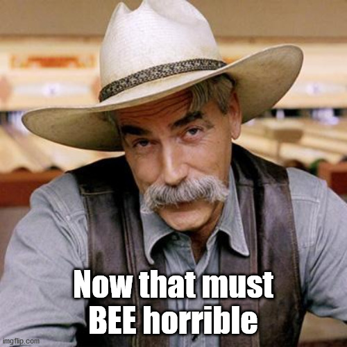 SARCASM COWBOY | Now that must BEE horrible | image tagged in sarcasm cowboy | made w/ Imgflip meme maker